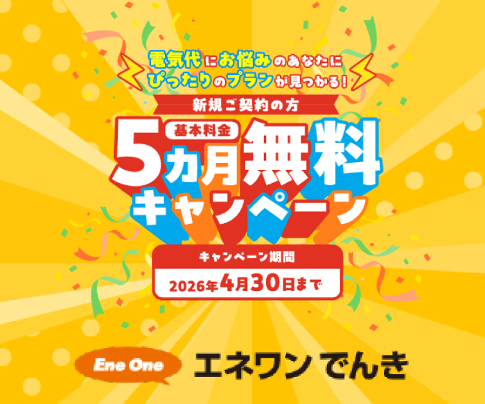 エネワンでんき商品画像