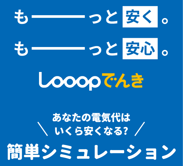Looopでんき商品画像